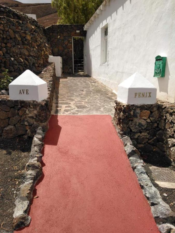 הוילה Femés Centro Ave Fenix מראה חיצוני תמונה